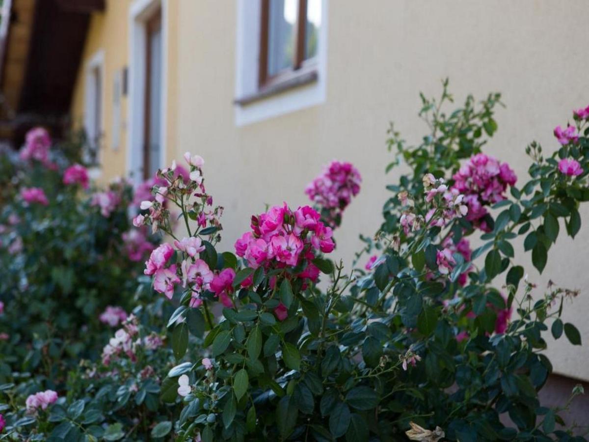 Apartman Dujmovic 1 Otocac Exterior photo
